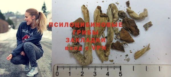 дживик Касимов